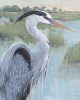 Framed Blue Heron Portrait II