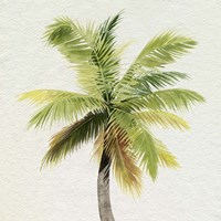 Framed Coco Watercolor Palm II