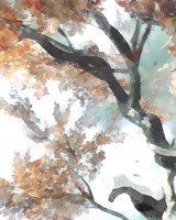Framed 'Fall Tree II' border=