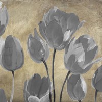 Framed 'Grey Tulips II' border=