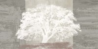 Framed White Tree Panel