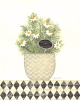 Framed 'Chamomile Humility' border=