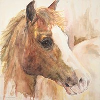 Framed Watercolor Horse