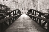 Framed Wiconisco Creek Bridge