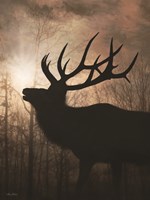 Framed Elk Sunrise II