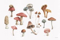 Framed Mushroom Medley 01