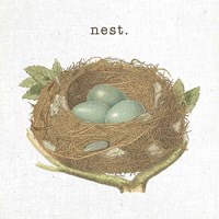 Framed 'Spring Nest III Nest' border=