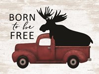 Framed Born to be Free Moose