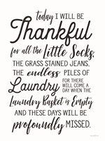 Framed Laundry Blessings I