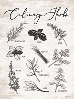 Framed Culinary Herbs