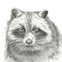 Framed Watercolor Pencil Forest VI-Raccoon