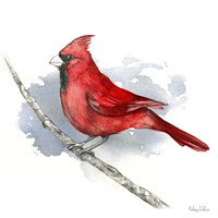 Framed 'Birds & Branches I-Cardinal' border=
