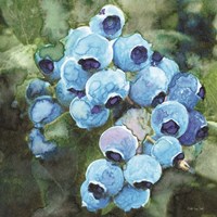 Framed 'Blueberries 3' border=