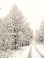 Framed Berry Mountain Road