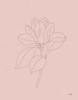 Framed Magnolia Line Drawing Pink