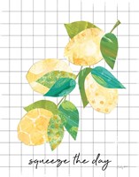 Framed Summer Lemons Sentiment II