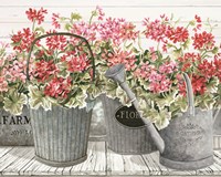 Framed 'Potted Geranium Mix II' border=