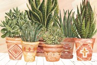Framed Aztec Potted Plants