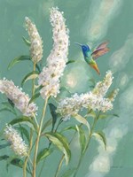 Framed Hummingbird Spring II