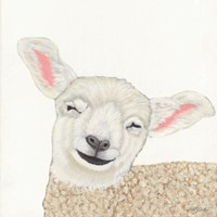 Framed Smiling Sheep