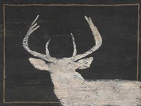 Framed Brow Tine Deer I