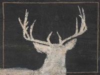 Framed Brow Tine Deer II