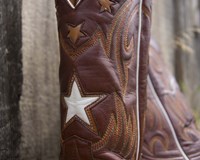 Framed Boots with Star