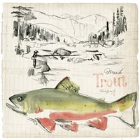 Framed Trout Journal II