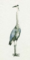 Framed Deep Blue Heron II