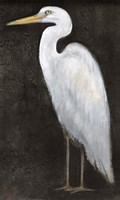 Framed White Heron Portrait II