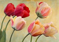 Framed Golden Tulips (detail)