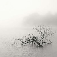 Framed Zen Lake