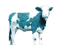 Framed Blue Swiss Cow