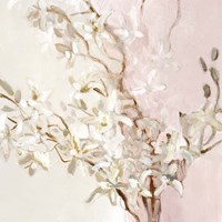Framed Blushing Orchids