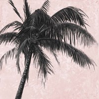 Framed Gray Palm on Pink I