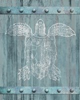 Framed White Turtle On Blue