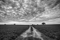 Framed Farm Road