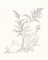 Framed Nature Sketchbook VI