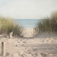 Framed Beach Grasses