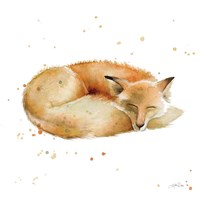 Framed Sleeping Fox
