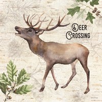 Framed 'Deer Crossing' border=