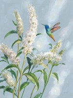 Framed Hummingbird Spring II Soft Blue