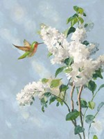 Framed Hummingbird Spring I Soft Blue