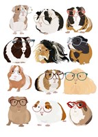Framed Guinea Pigs In Glasses