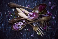 Framed Spoons & Flowers