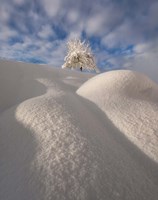 Framed Curves of a Winter Landscape