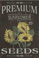 Framed Sunflower Seeds