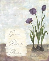 Framed Grow Bloom Thrive