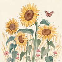 Framed 'Sunflower Season III Bright' border=