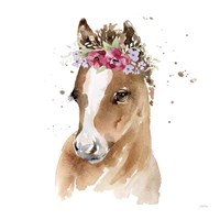 Framed Floral Pony Pink Sq